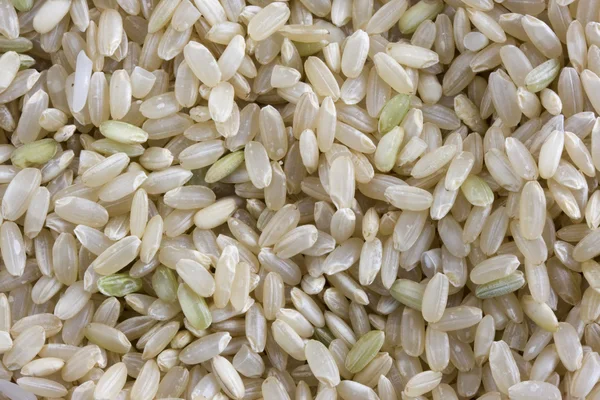 Golden rose brown rice background — Stock Photo, Image