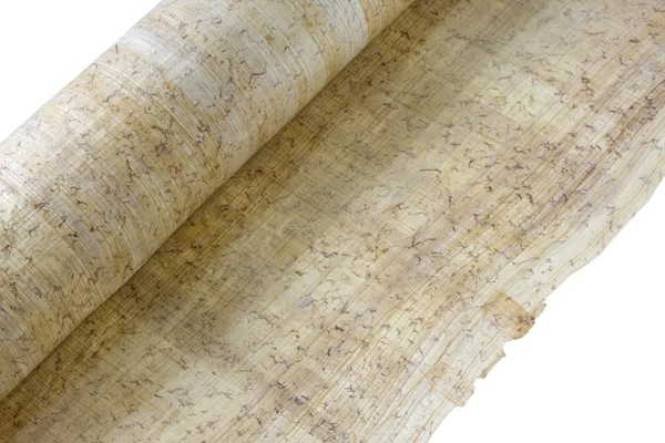 Roll of papyrus paper — Stock Photo, Image