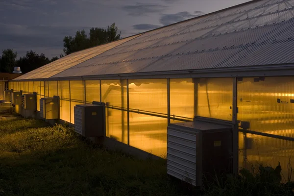 Greenhouse glowing at night — Stock Photo, Image