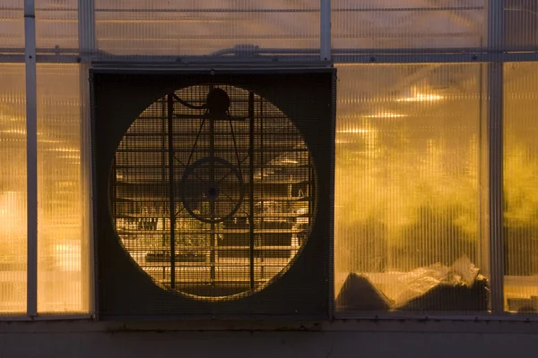 Parede de estufa com um grande ventilador aberto e executado — Fotografia de Stock