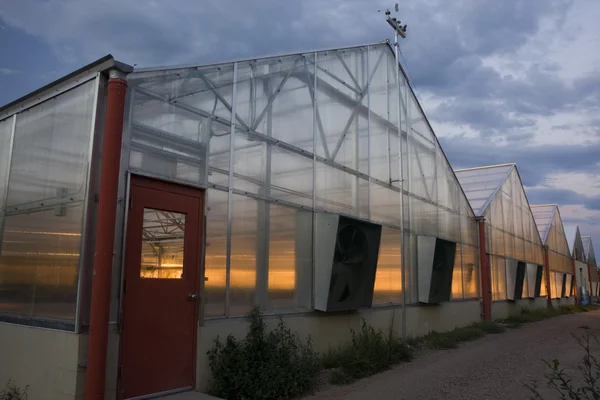 Greenhouses with lights on at dusk — Stock Photo, Image