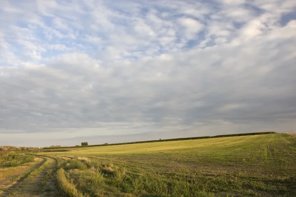 Boerderij weg en geoogste alfalfa veld — Stockfoto