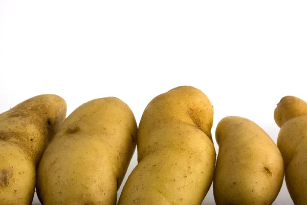 Картофель Фингерлинг — стоковое фото
