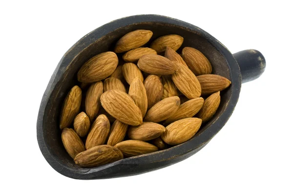 Scoop of shelled almond nuts — Stock Photo, Image