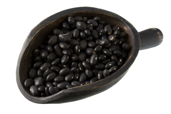 Scoop of black turtle beans — Stock Photo, Image