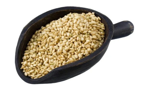 Scoop of sweet brown rice — Stock Photo, Image
