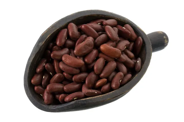 Od 赤い腎臓豆をすくう — ストック写真