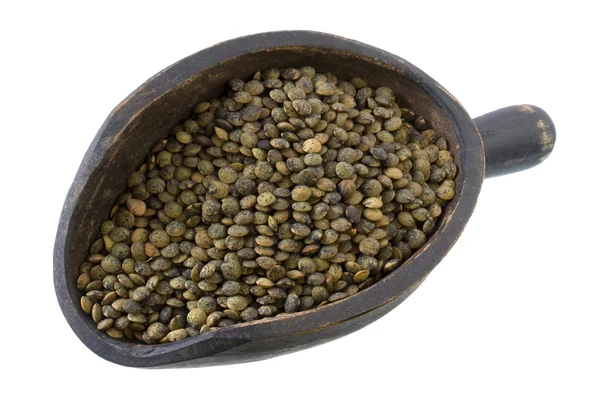 Colher de lentilhas verdes francesas — Fotografia de Stock
