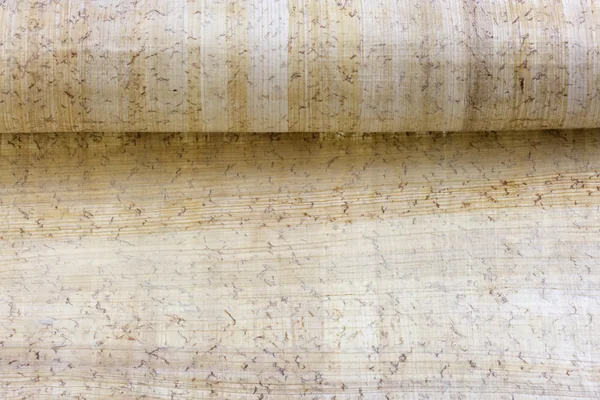 Рулон папируса — стоковое фото