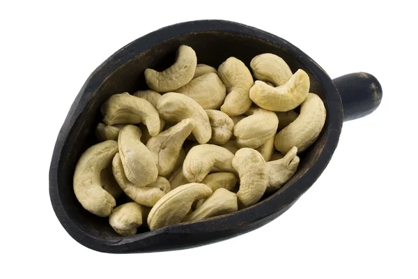 Skopa raw cashewnötter — Stockfoto