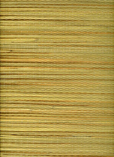Textura de alfombra de hierba —  Fotos de Stock