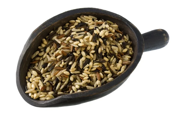 Kepçe vahşi ve kahverengi pirinç — Stok fotoğraf