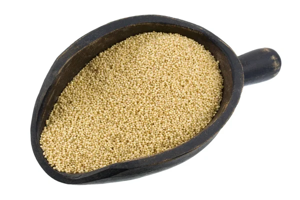 Scoop of amaranth grain — Stock Photo, Image