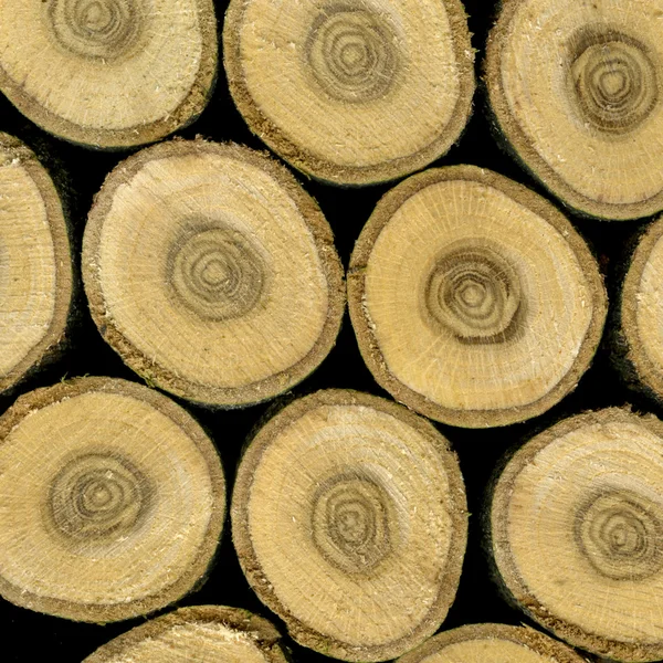 Trozos de madera de roble —  Fotos de Stock