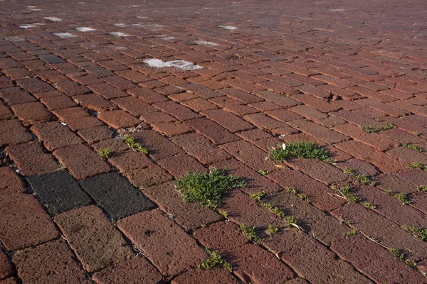Street brick pavement — Stock Photo, Image