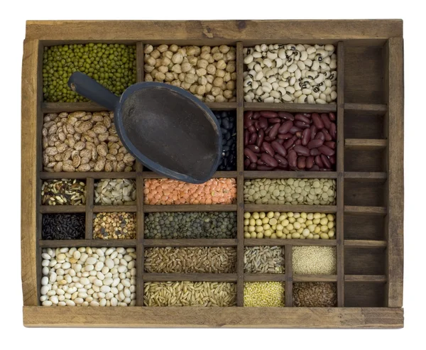 Case with scoop and assorted beans — Stock Photo, Image