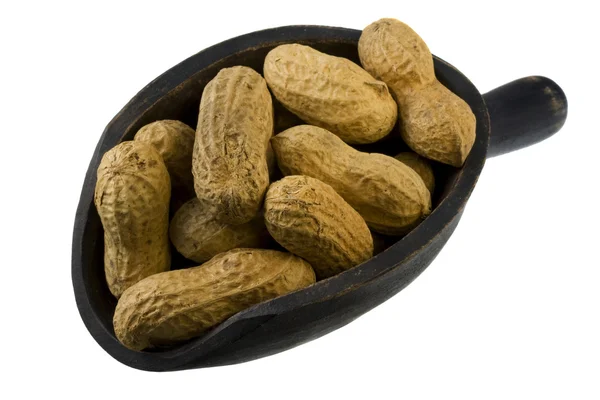 Pala de cacahuetes — Foto de Stock