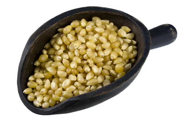 Cuillère de grains de maïs — Photo