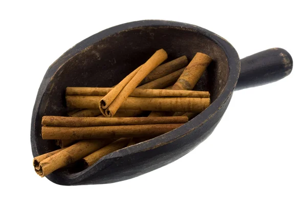 Scoop of cinnamon sticks — Stock Photo, Image