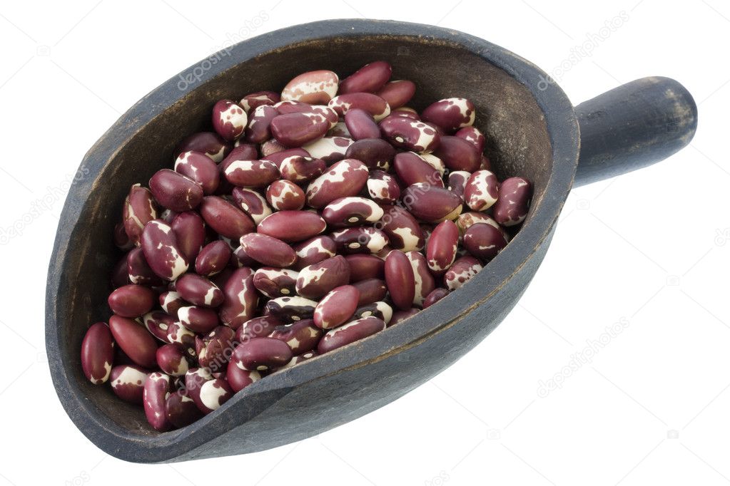 Scoop of Anasazi beans