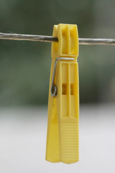 Желтый колышек — стоковое фото