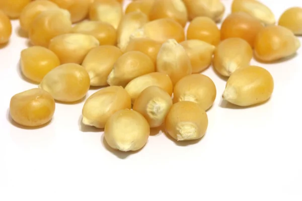 Semillas de maíz Fotos de stock libres de derechos