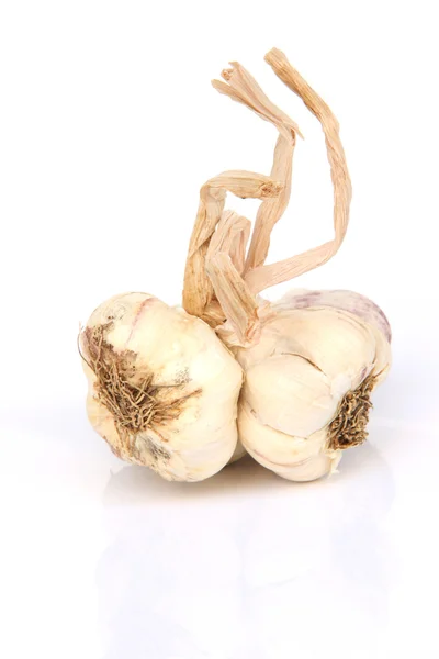 Two garlic bulbs Stock Photo