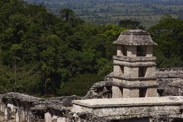Palenque — Stock Photo, Image