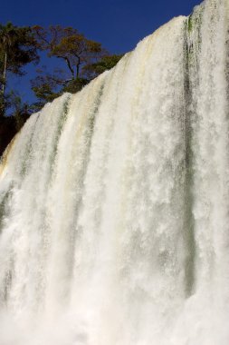 Iguazu Şelaleleri