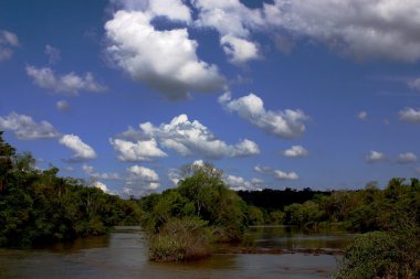 Iguazu Şelaleleri