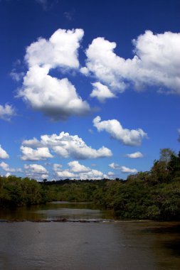 Iguazu Şelaleleri