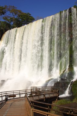 Iguazu Şelaleleri