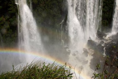 Iguazu Şelaleleri