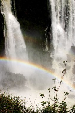 Iguazu Şelaleleri