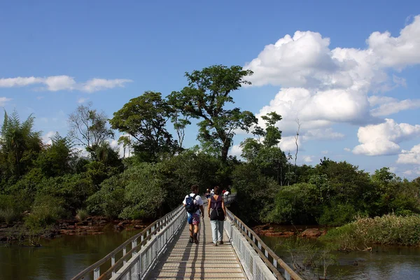 stock image Iguazu Falls