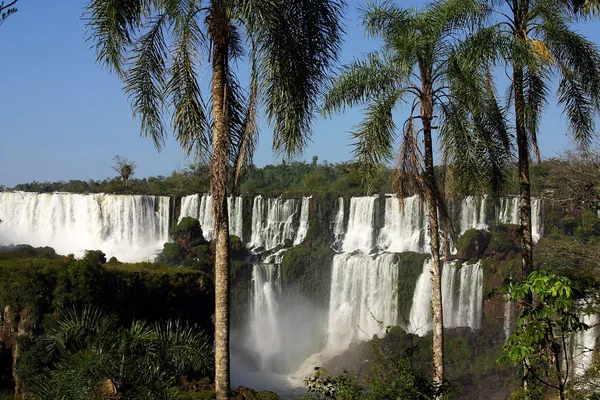 Stock image Iguazu Falls
