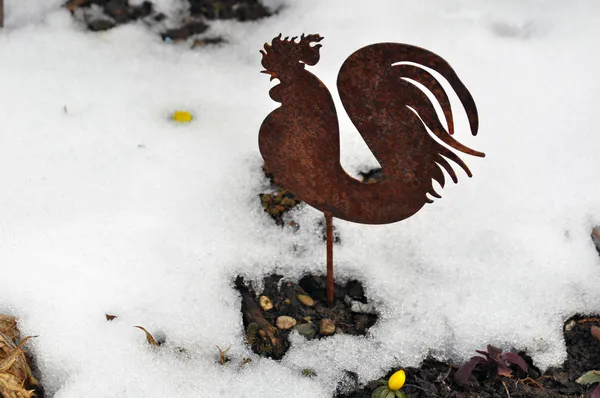 Metal cock in snow — Stock Photo, Image