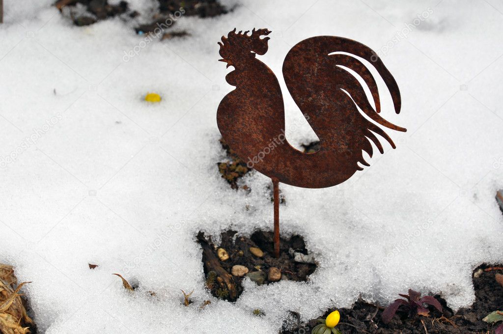 Metal cock in snow