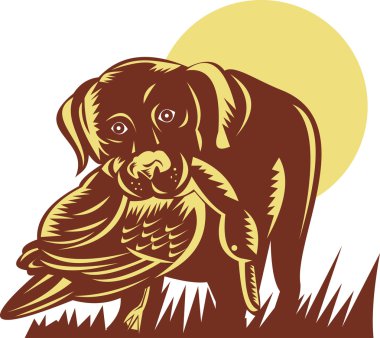 Trained gun dog retrieving a duck clipart