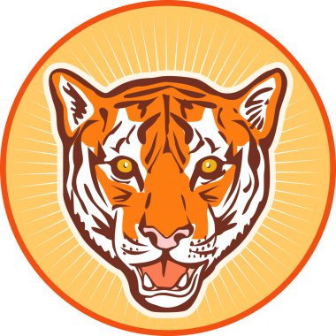 Tiger açık kafa