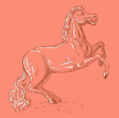 Horse sketch drawing prancing clipart