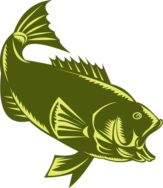 Largemouth Bass — Stock Photo, Image