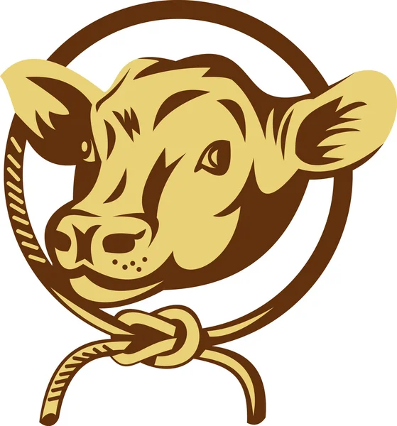 Mascote de vaca amarrado corda de nó quadrado — Fotografia de Stock