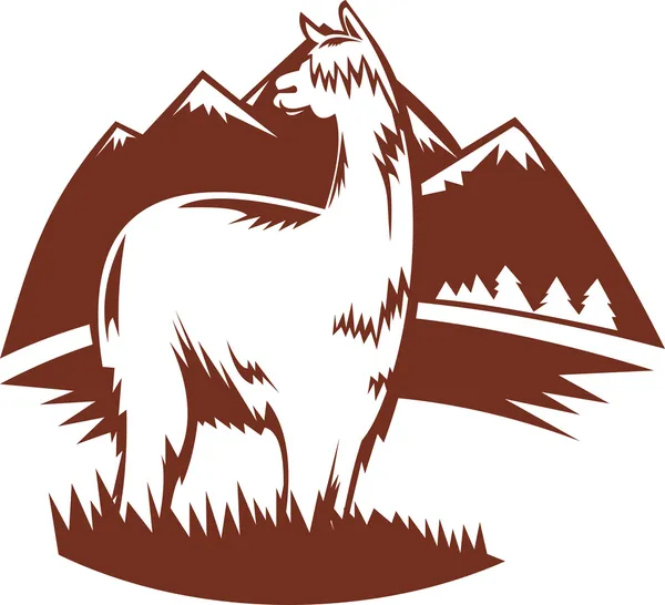 Suri alpaca com montanhas — Fotografia de Stock