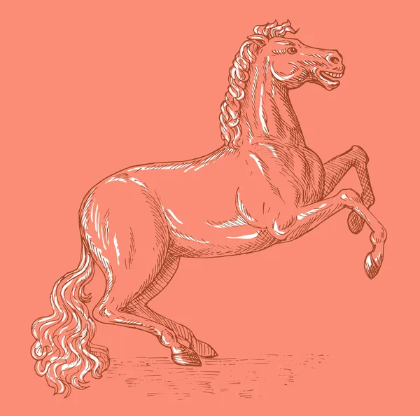Kreslení vzpínajícího koně skica — Stock fotografie