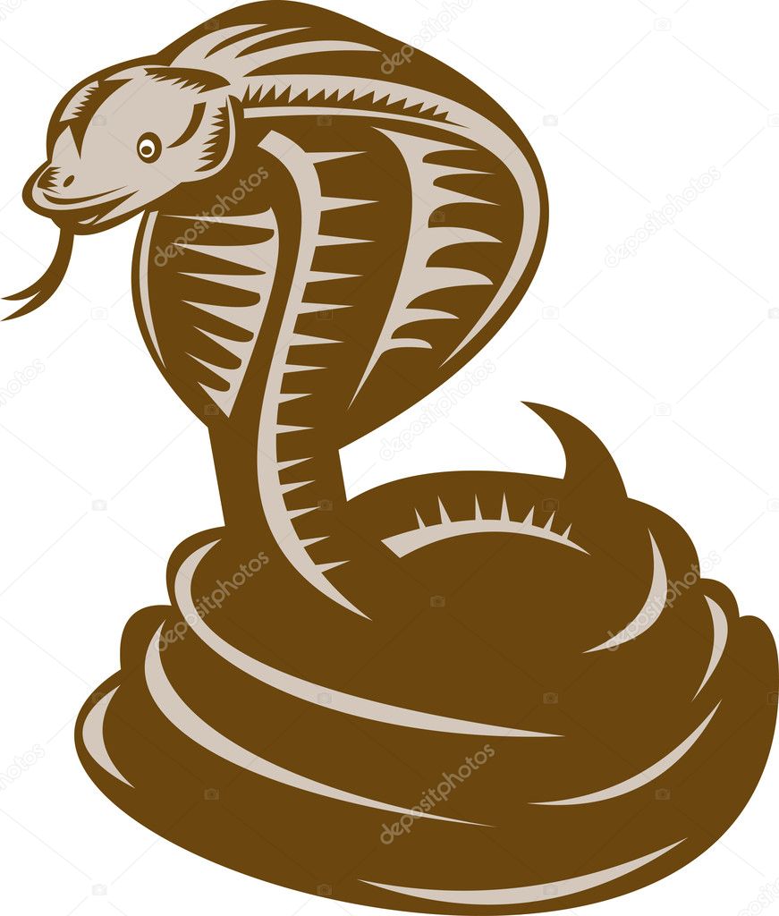 Pequena Ilustração Animal De Desenho Animado De Cobra-rei