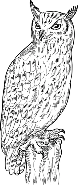 Eagle owl kresba — Stock fotografie