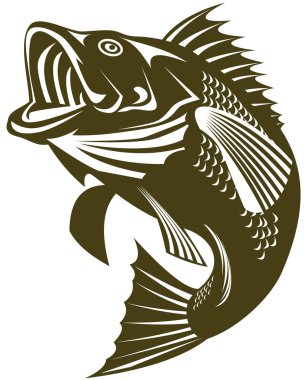 Largemouth bass clipart