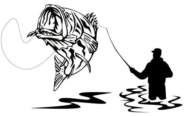 Sinek balıkçı çipura levrek — Stok fotoğraf