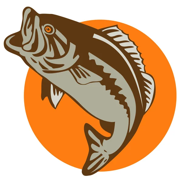 Bas largemouth ryb — Zdjęcie stockowe